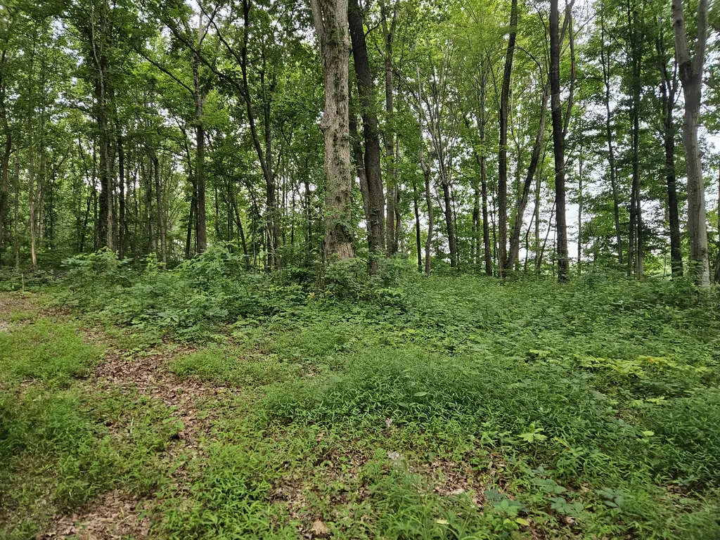 2431 Key 501 Kings Mountain KY 40442