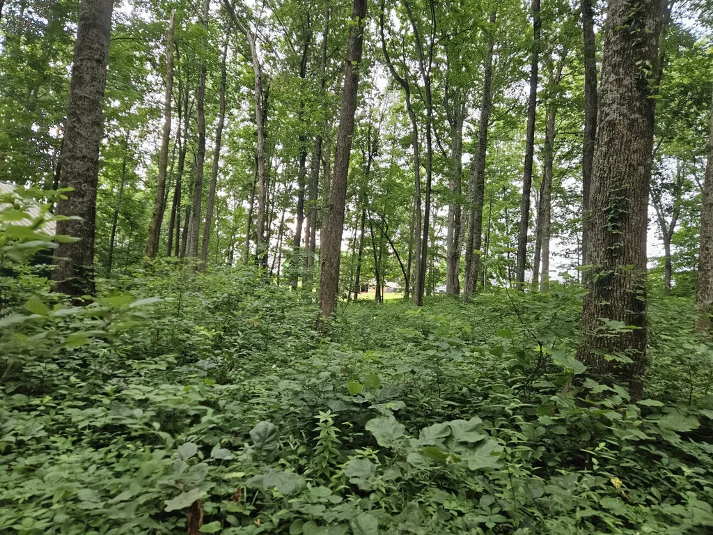 2431 Key 501 Kings Mountain KY 40442