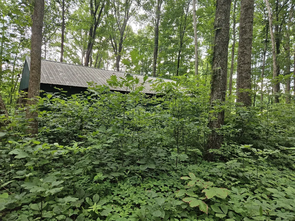 2431 Key 501 Kings Mountain KY 40442