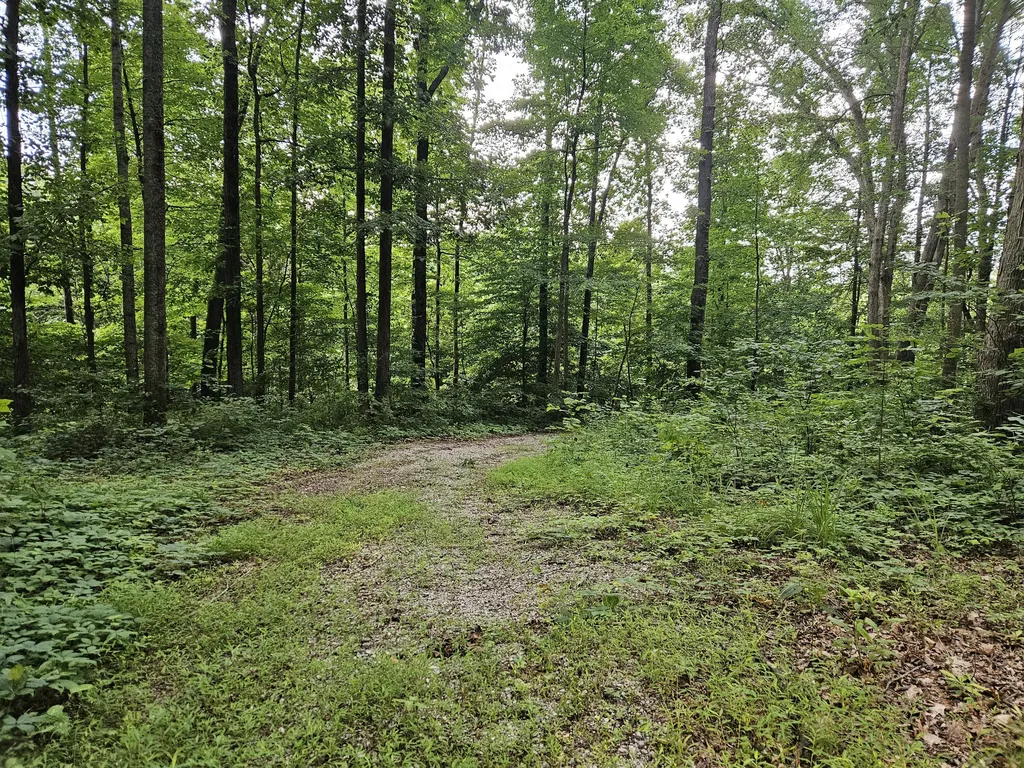 2431 Key 501 Kings Mountain KY 40442