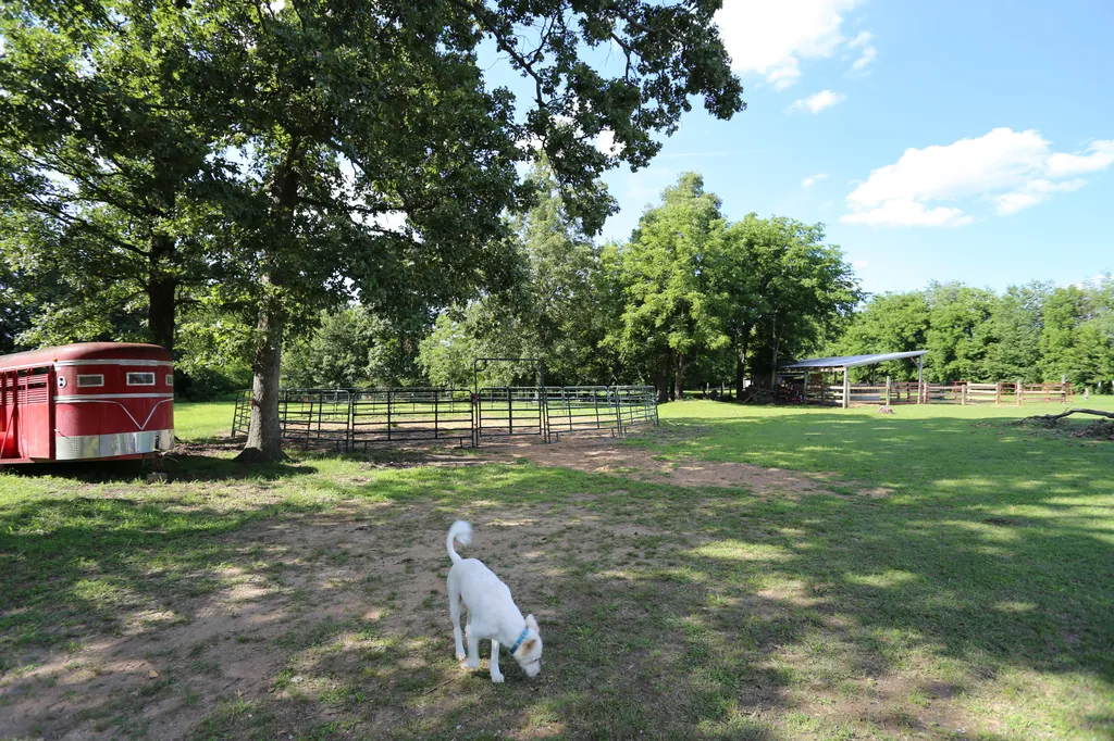 332 Jones Sparkman Road Murray KY 42071