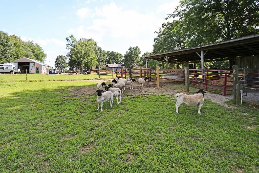 332 Jones Sparkman Road Murray KY 42071