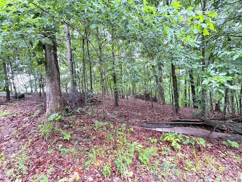 00 Daniel Ln Lane New Concord KY 42076