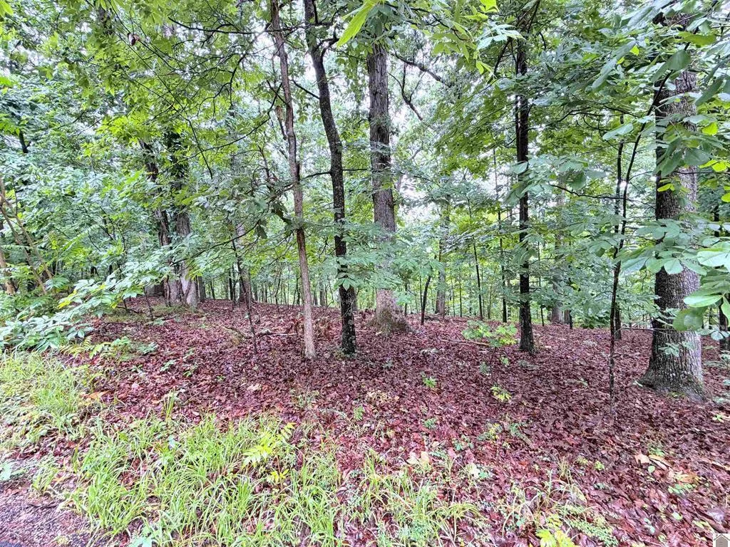 00 Daniel Ln Lane New Concord KY 42076