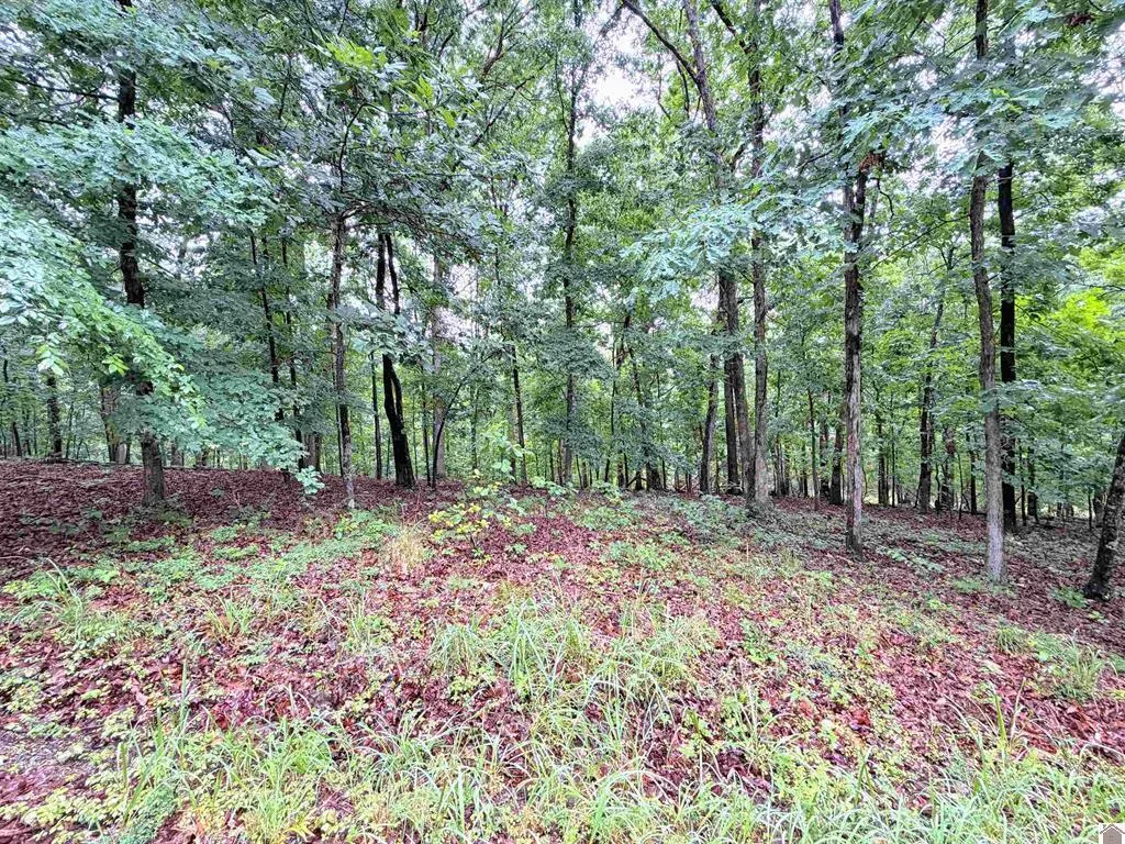 00 Daniel Ln Lane New Concord KY 42076