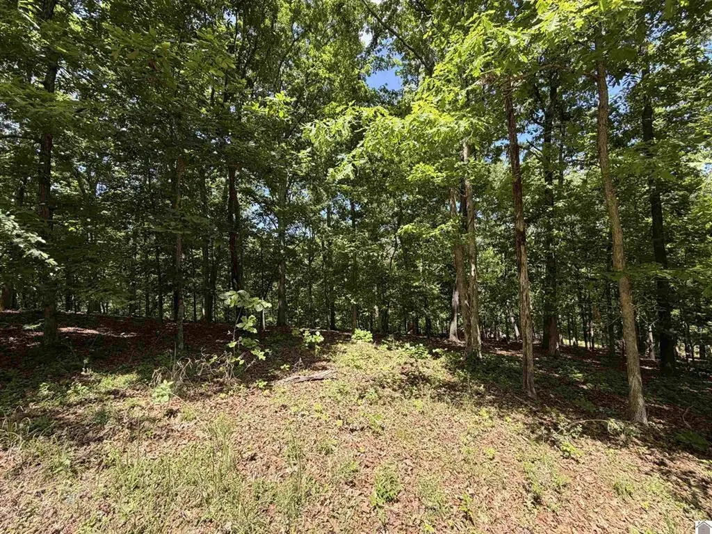 00 Daniel Ln Lane New Concord KY 42076