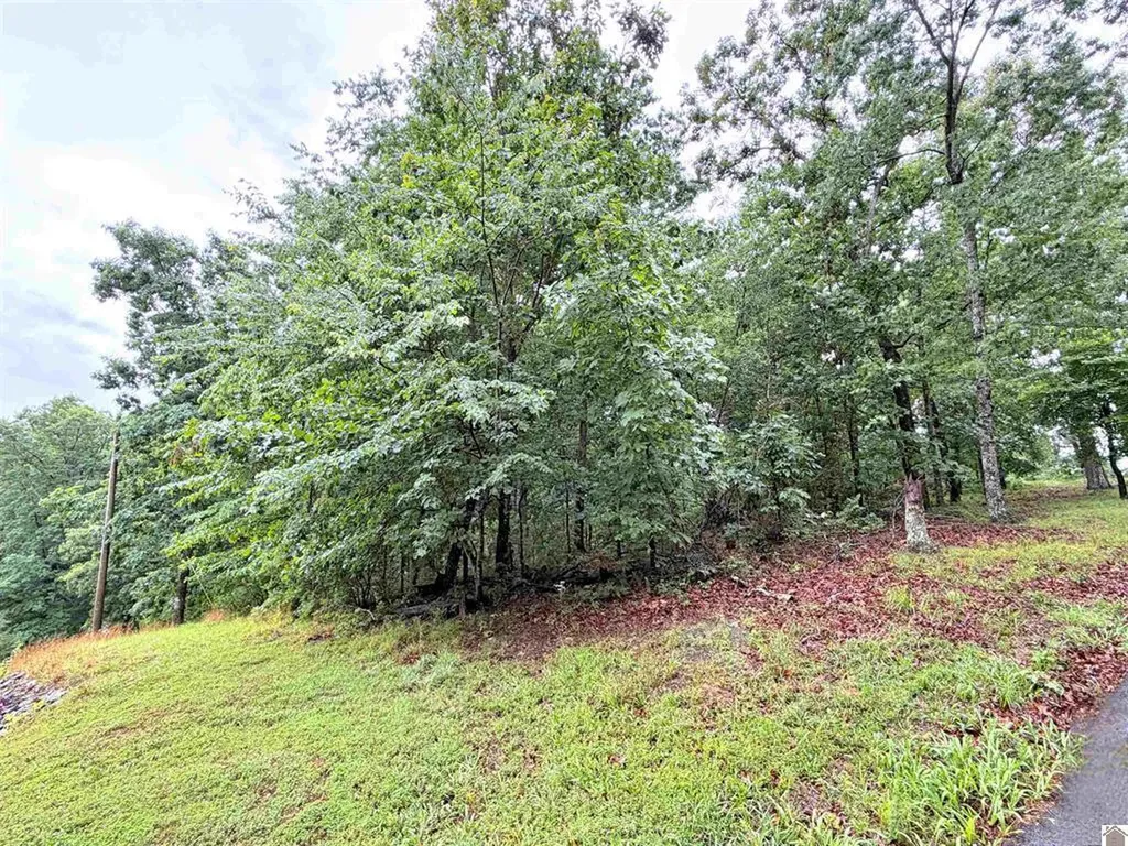 00 Daniel Ln Lane New Concord KY 42076