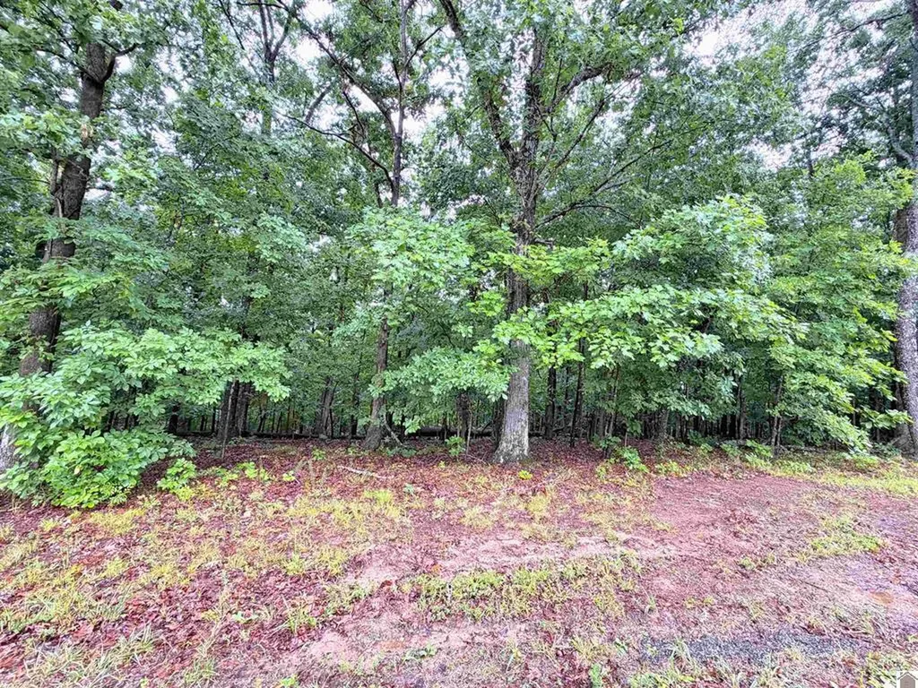 00 Daniel Ln Lane New Concord KY 42076