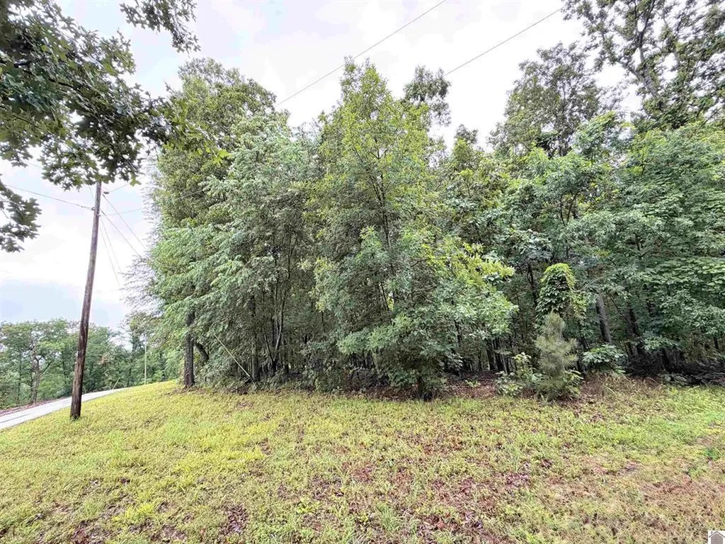 00 Daniel Ln Lane New Concord KY 42076