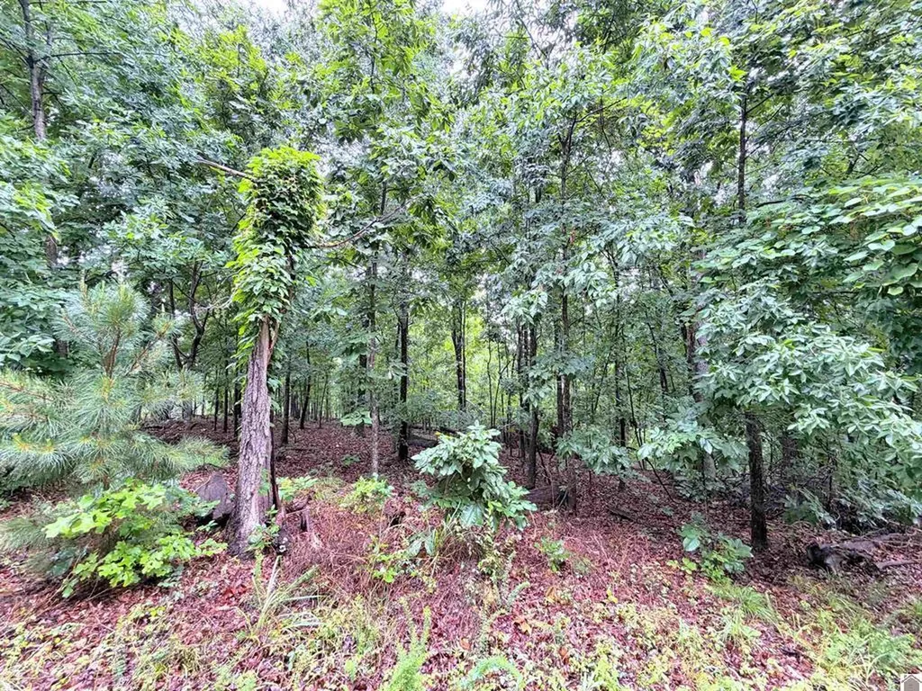 00 Daniel Ln Lane New Concord KY 42076