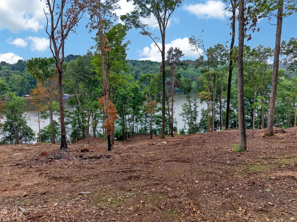 Lot 12 Elwood Road Eddyville KY 42038