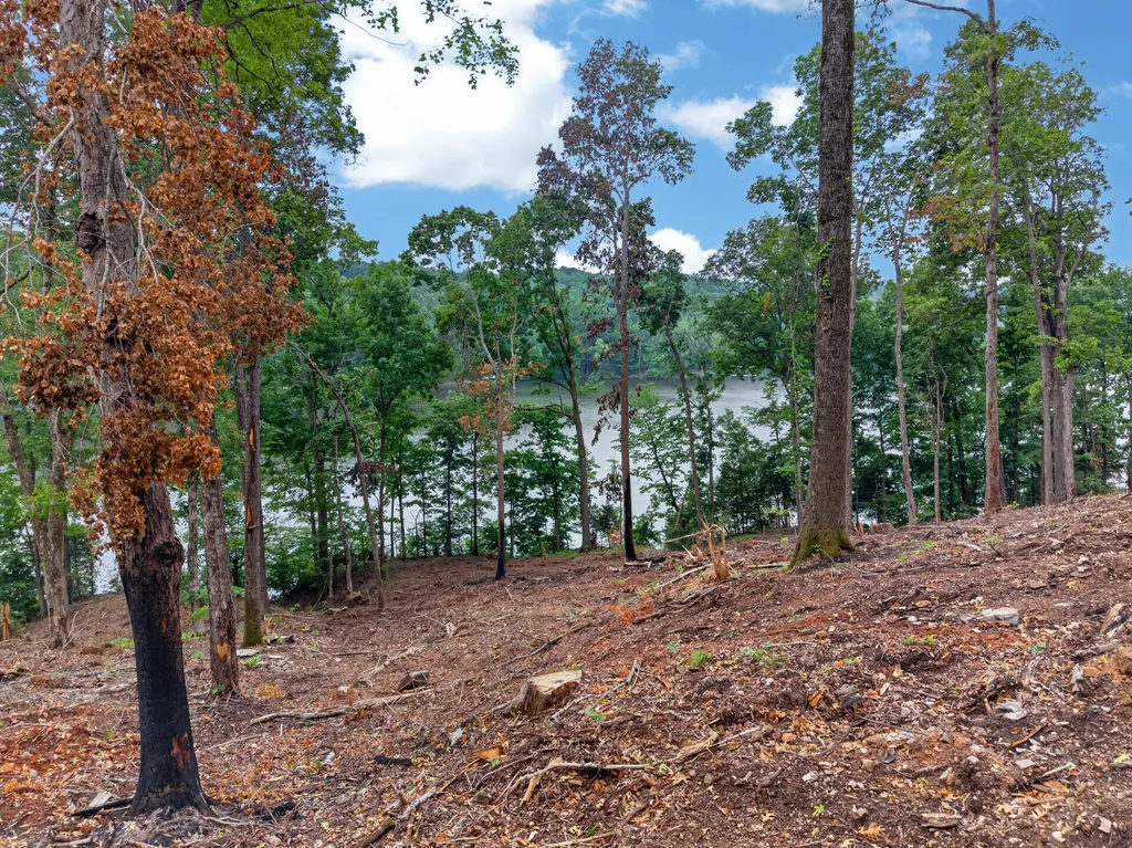 Lot 12 Elwood Road Eddyville KY 42038