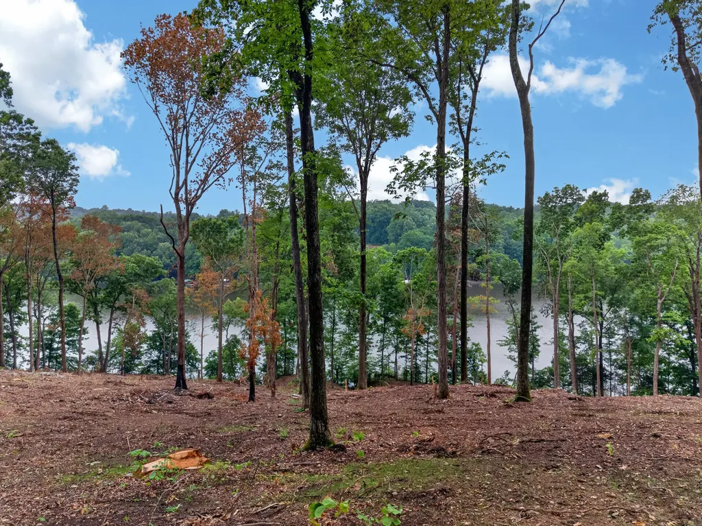 Lot 12 Elwood Road Eddyville KY 42038