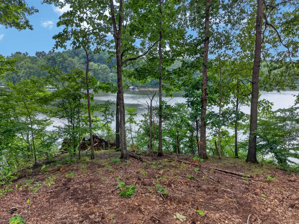 Lot 12 Elwood Road Eddyville KY 42038