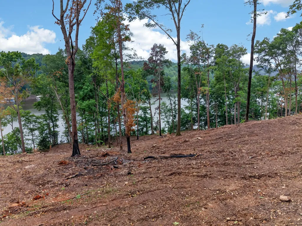 Lot 12 Elwood Road Eddyville KY 42038