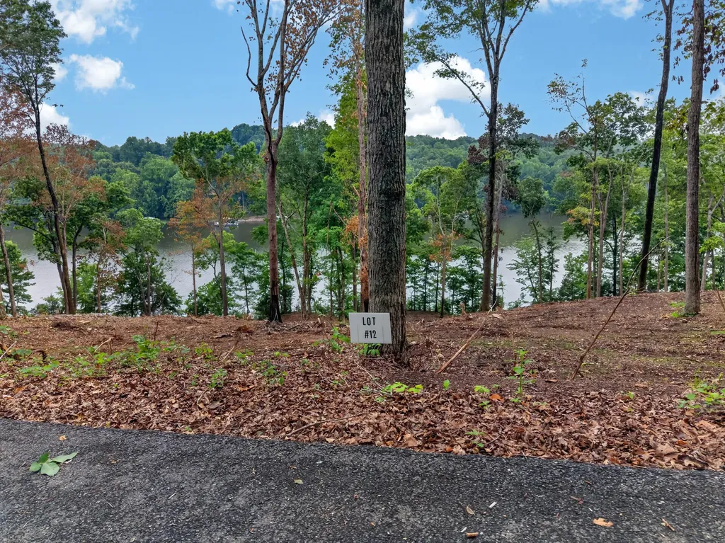Lot 12 Elwood Road Eddyville KY 42038