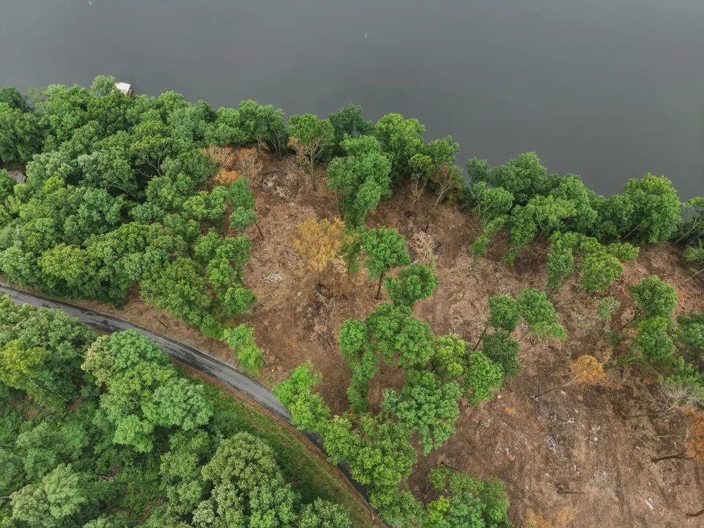 Lot 12 Elwood Road Eddyville KY 42038