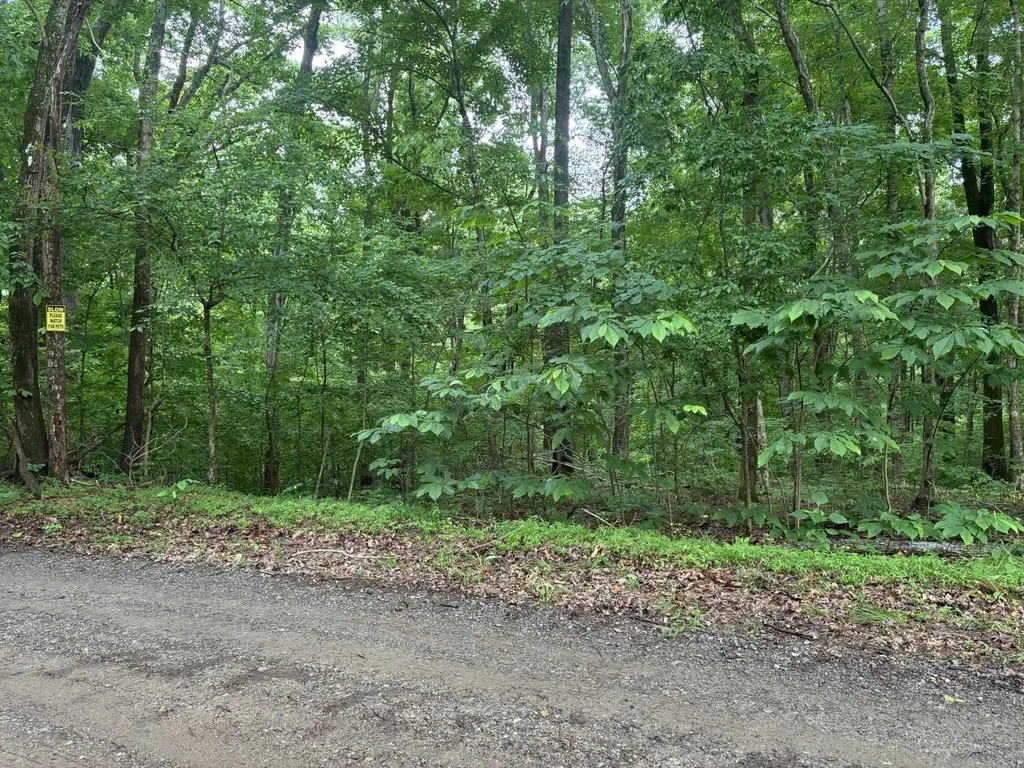 8V Redwood Drive Cadiz KY 42211