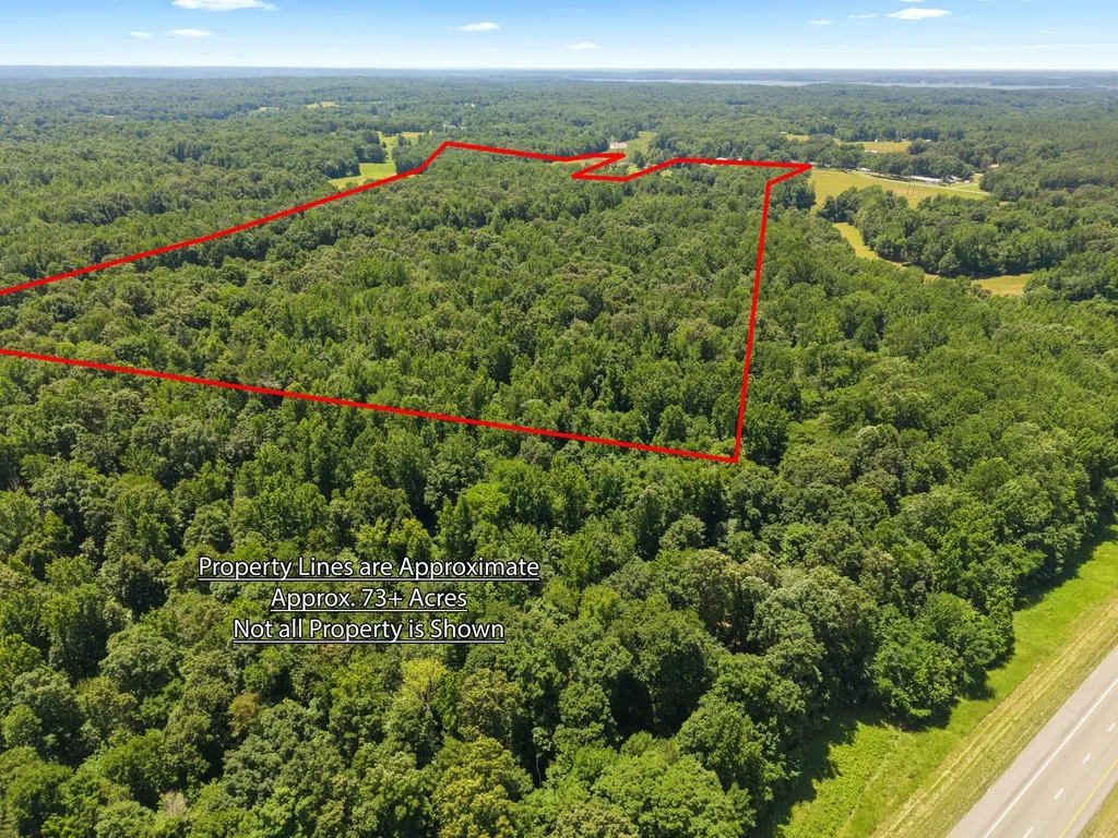656 N State Highway 810 Kuttawa KY 42055