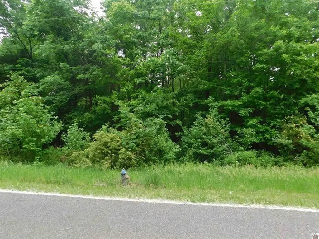 0 Devillez Road Eddyville KY 42038