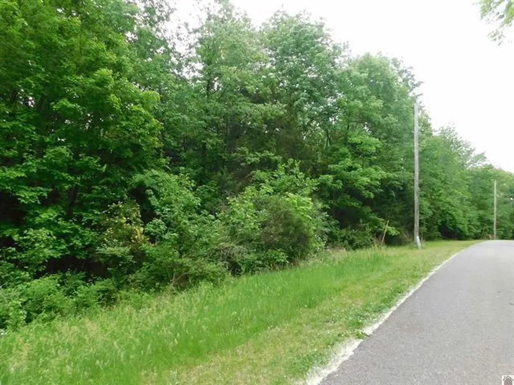 0 Devillez Road Eddyville KY 42038