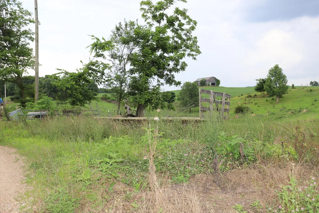 625 Caney Creek Road Waynesburg KY 40489