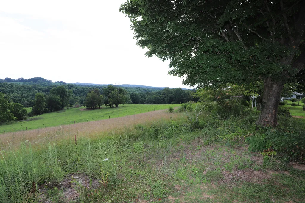 625 Caney Creek Road Waynesburg KY 40489