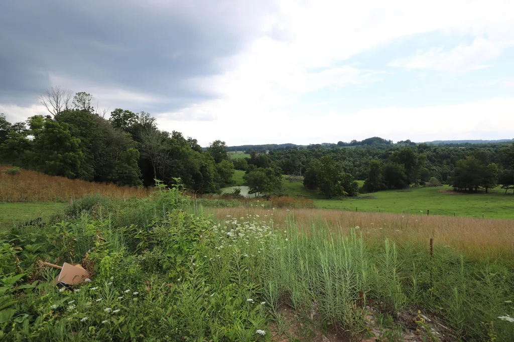 625 Caney Creek Road Waynesburg KY 40489