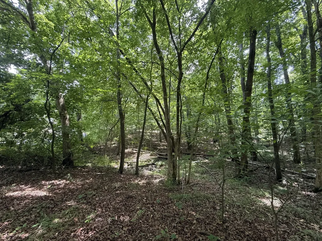 000 Waterway Trail New Concord KY 42076