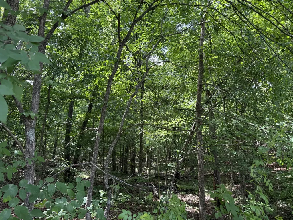 000 Waterway Trail New Concord KY 42076