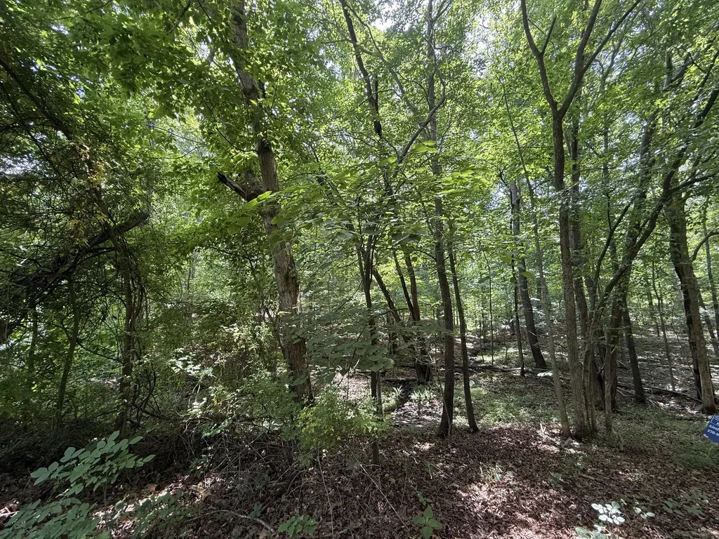 000 Waterway Trail New Concord KY 42076