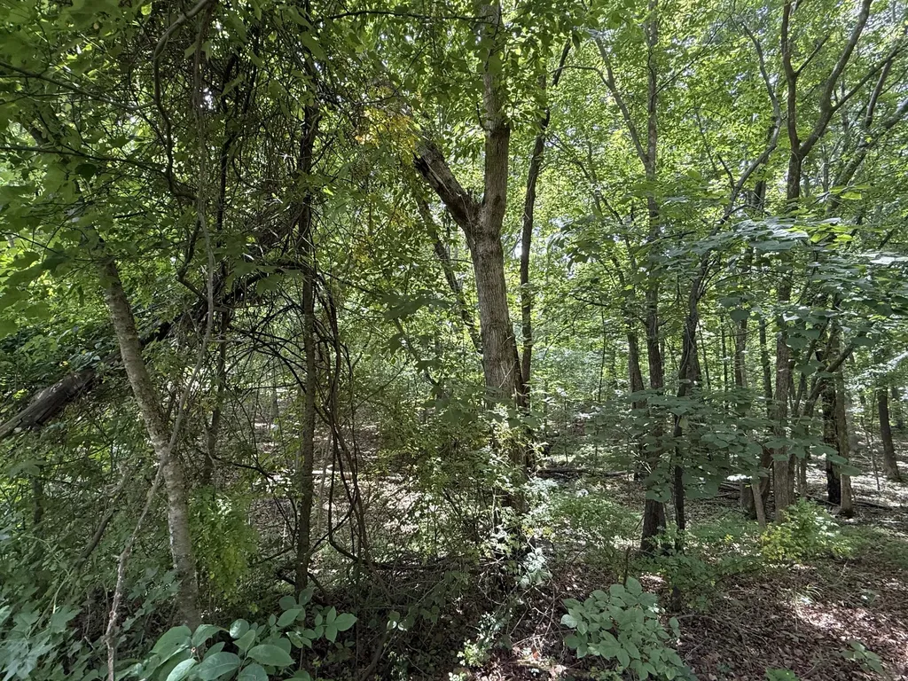 000 Waterway Trail New Concord KY 42076