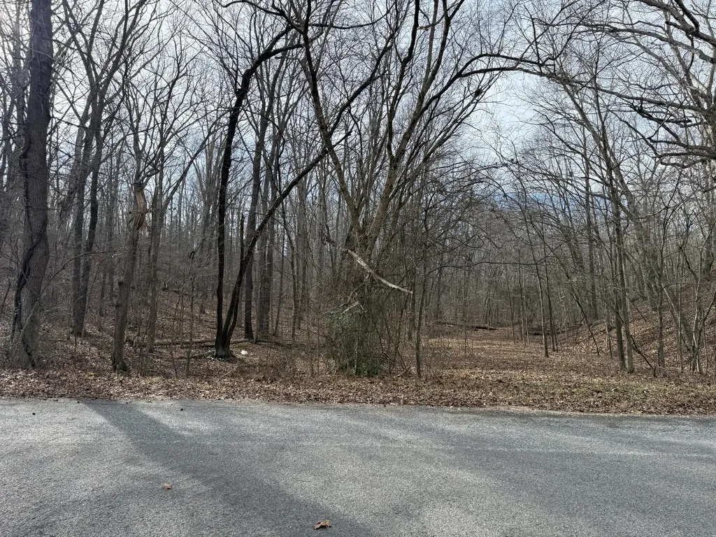 000 Waterway Trail New Concord KY 42076