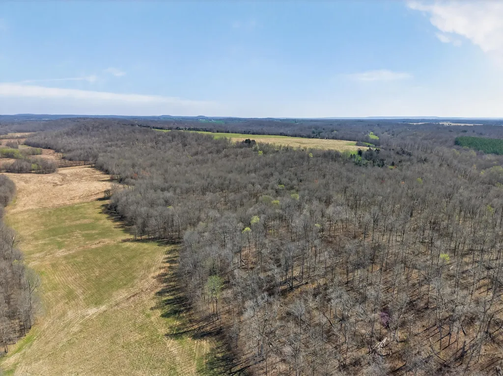 2526 Axel Creek Road Salem KY 42078