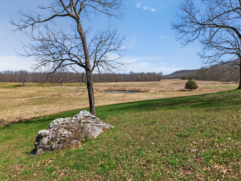 2526 Axel Creek Road Salem KY 42078