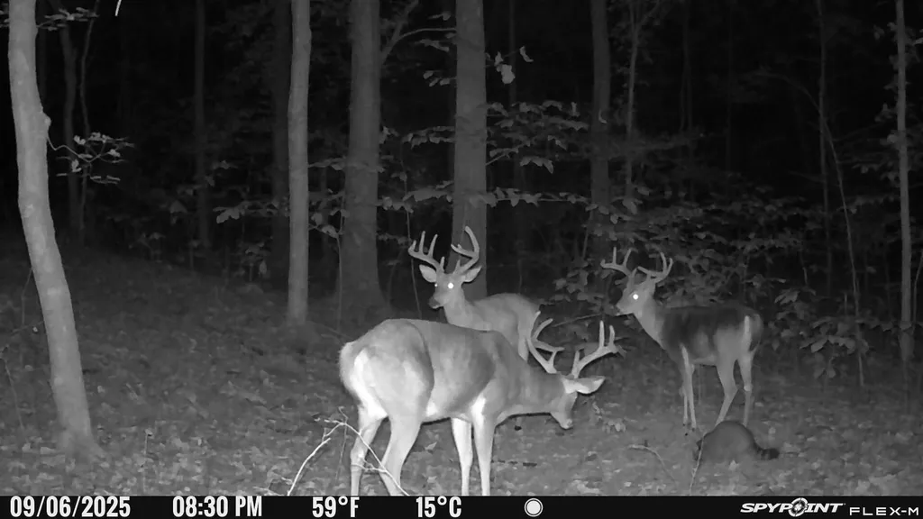 406 Lakewood Road Princeton KY 42445