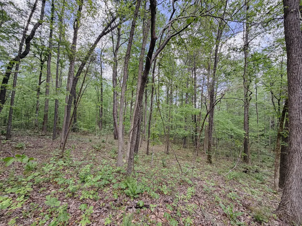 406 Lakewood Road Princeton KY 42445