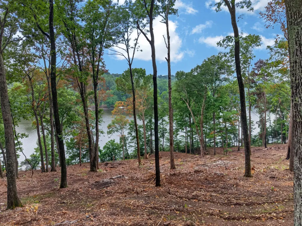 Lot 13 Elwood Road Eddyville KY 42038