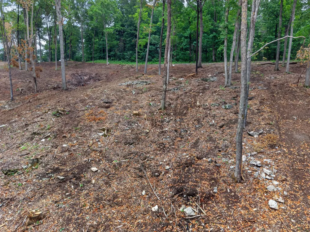 Lot 13 Elwood Road Eddyville KY 42038