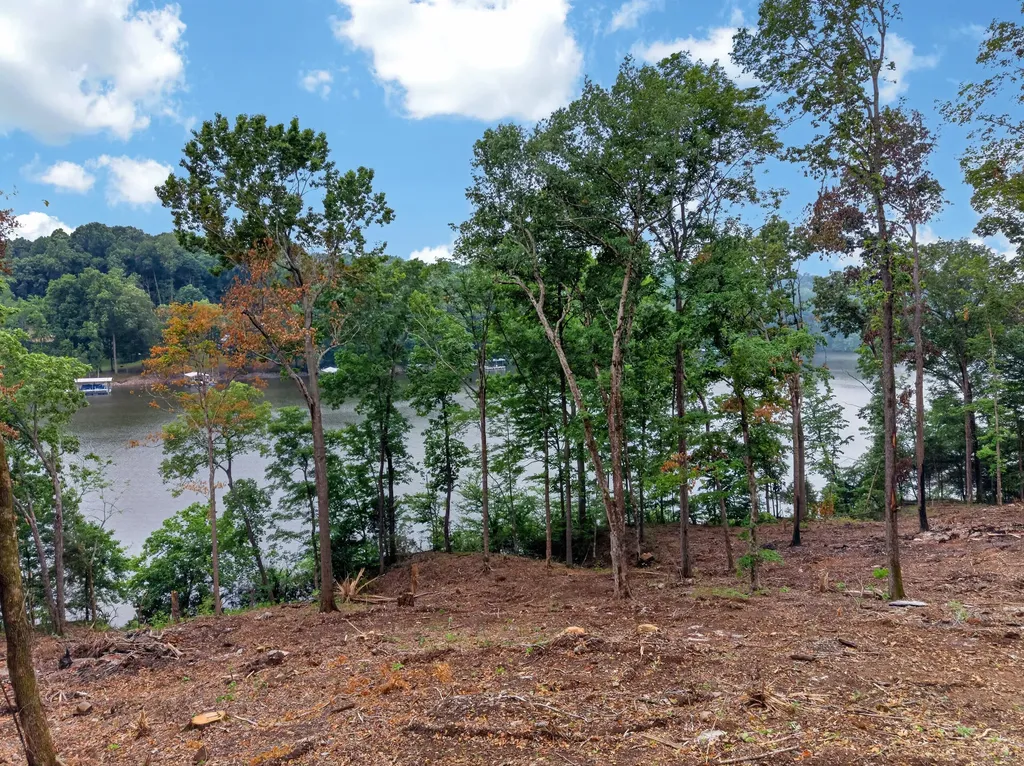 Lot 13 Elwood Road Eddyville KY 42038
