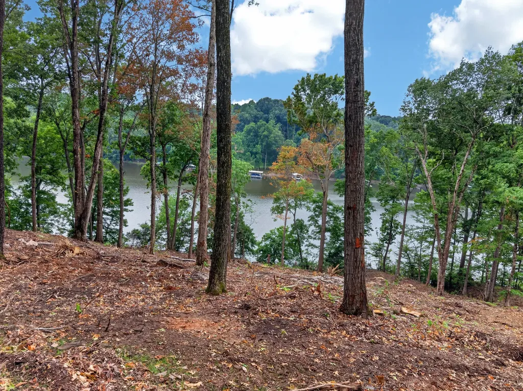 Lot 13 Elwood Road Eddyville KY 42038