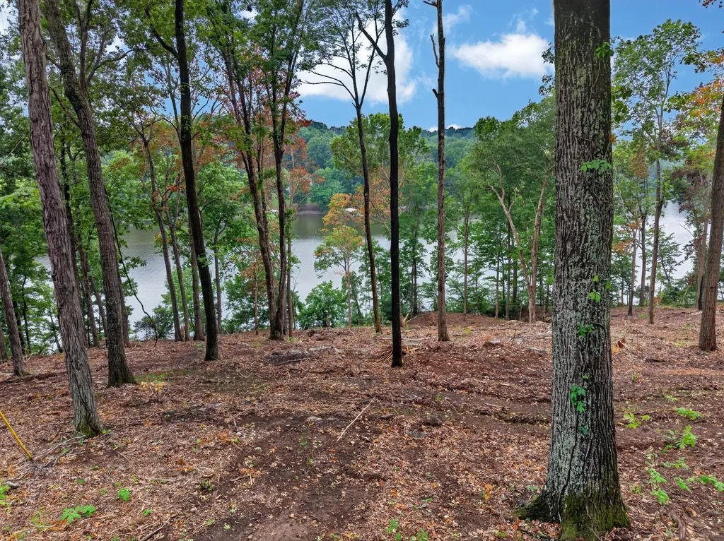 Lot 13 Elwood Road Eddyville KY 42038