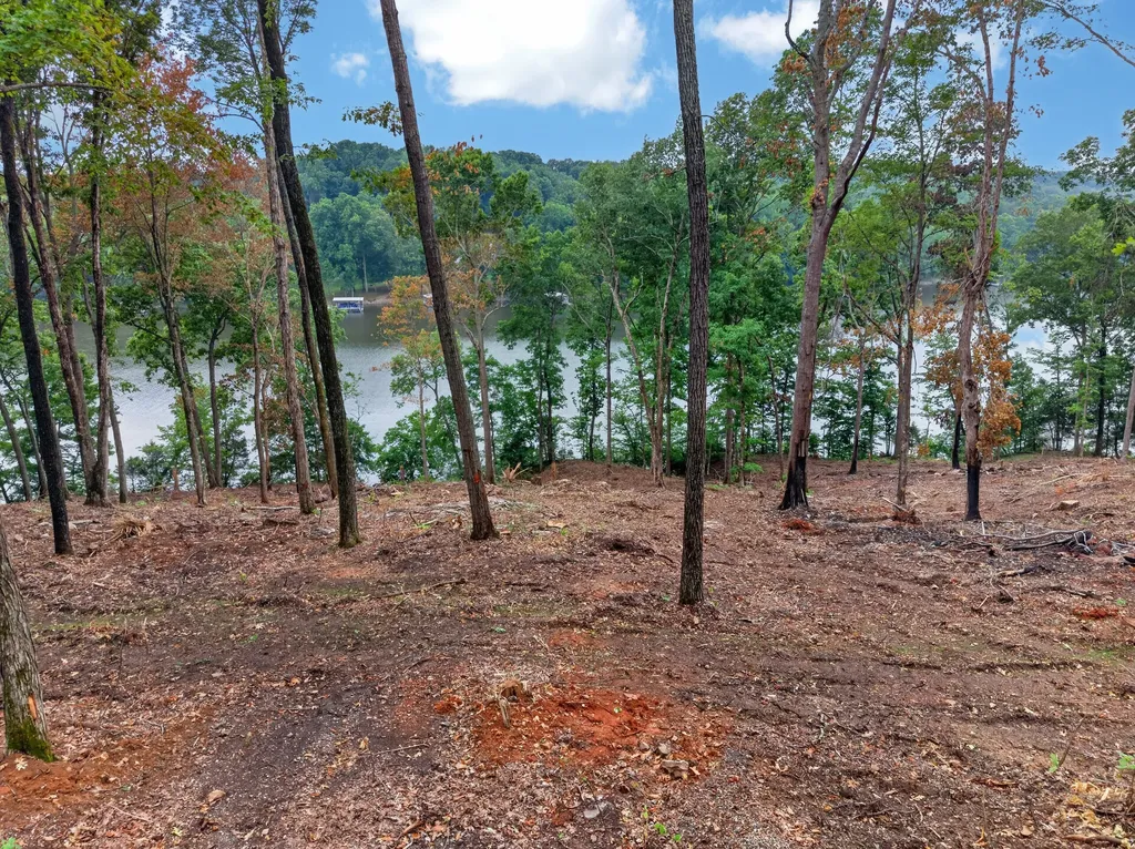 Lot 13 Elwood Road Eddyville KY 42038