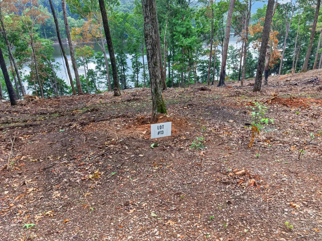Lot 13 Elwood Road Eddyville KY 42038