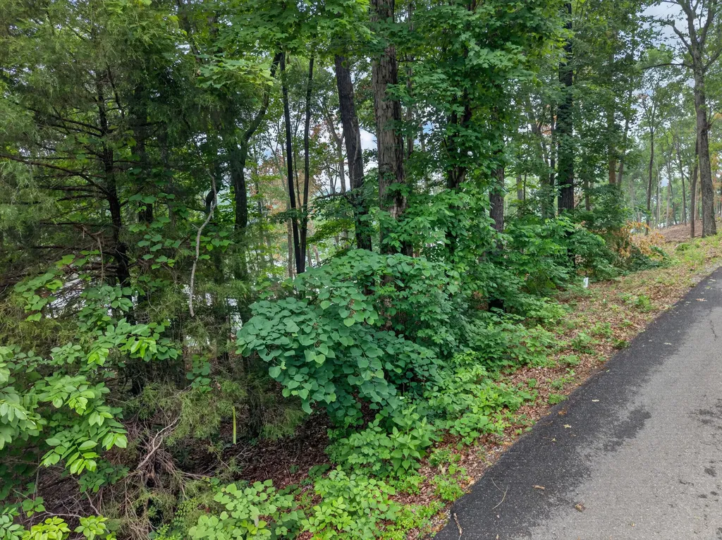 Lot 14 Elwood Road Eddyville KY 42038