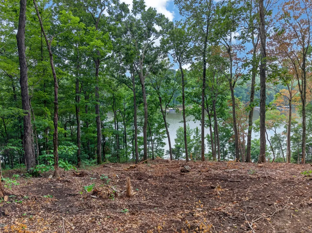 Lot 14 Elwood Road Eddyville KY 42038