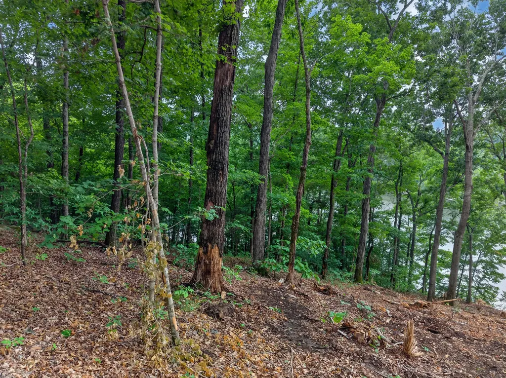 Lot 14 Elwood Road Eddyville KY 42038