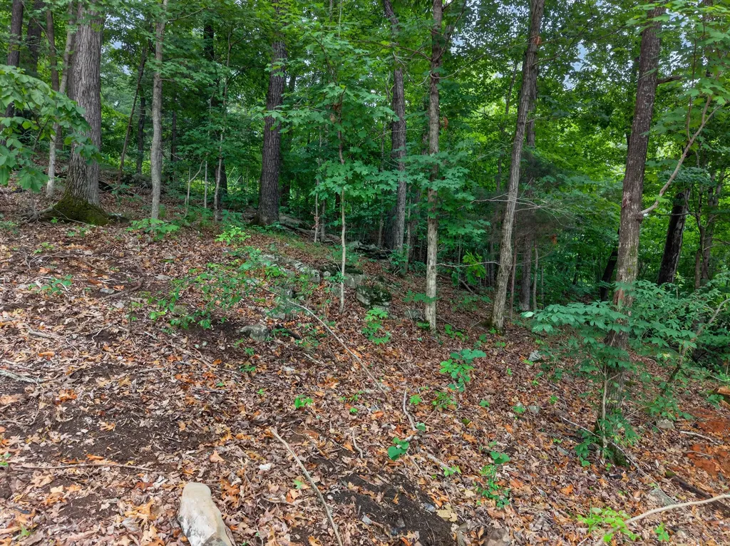 Lot 14 Elwood Road Eddyville KY 42038