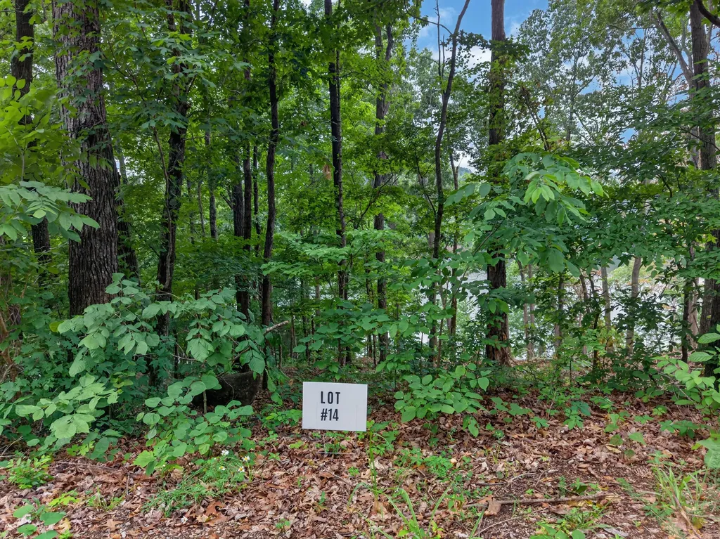 Lot 14 Elwood Road Eddyville KY 42038