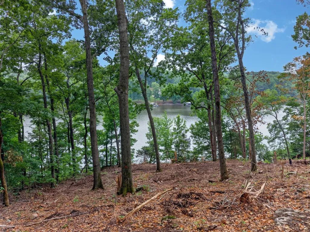 Lot 14 Elwood Road Eddyville KY 42038